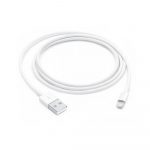 Apple Lightning to USB Cable