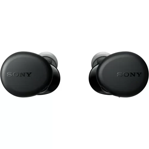 Sony WF-XB700 Wireless Earbuds